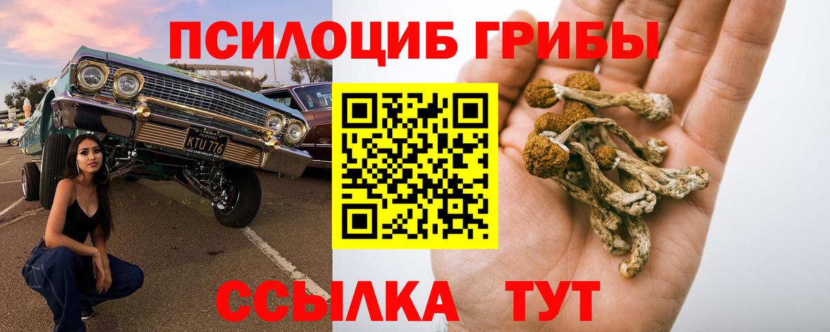Галлюциногенные грибы мухоморы  Вход с VPN  Галлюциногенные грибы ЛСД  Назрань 