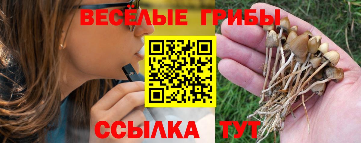 Псилоцибиновые грибы ЛСД Назрань
